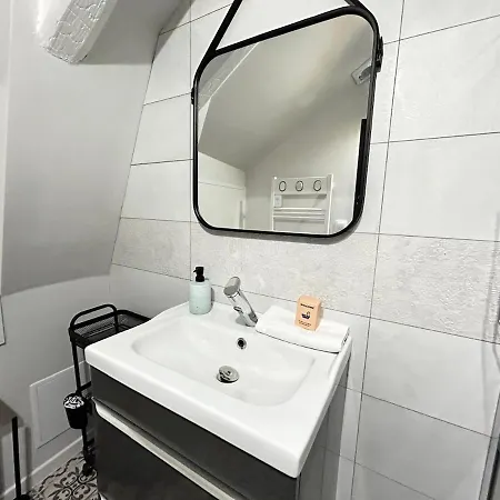 Delacroix Magnifique T2 Au Centre Reims